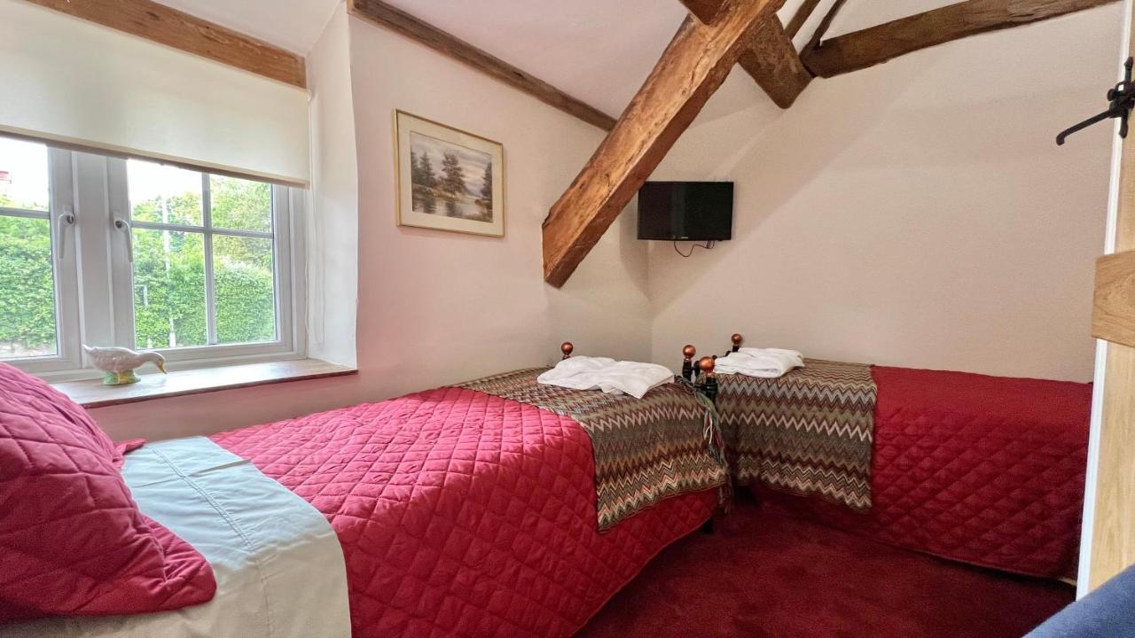 Cosy Cottage Somerset  Extérieur photo